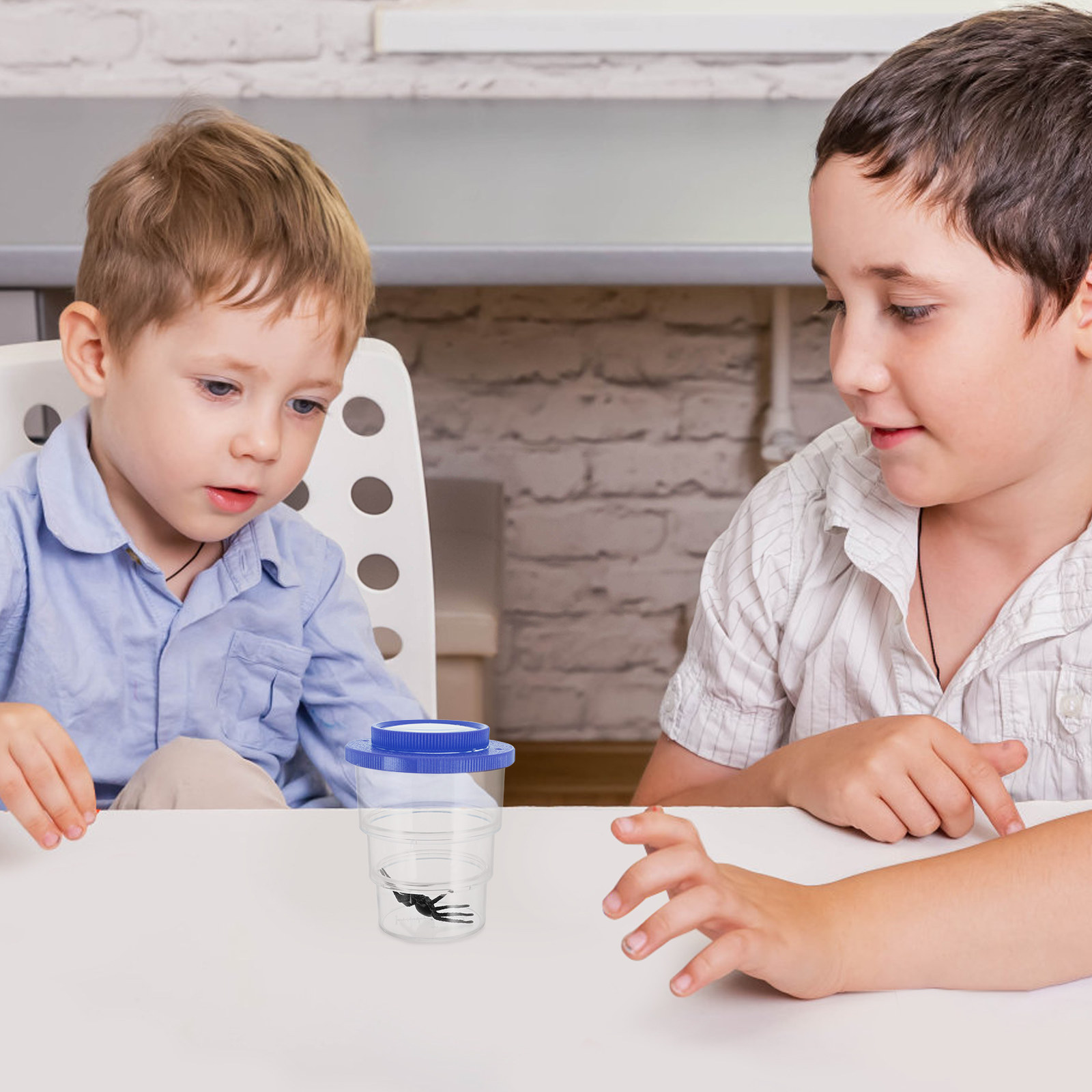 Science Toy - Caixa de observação de insetos com