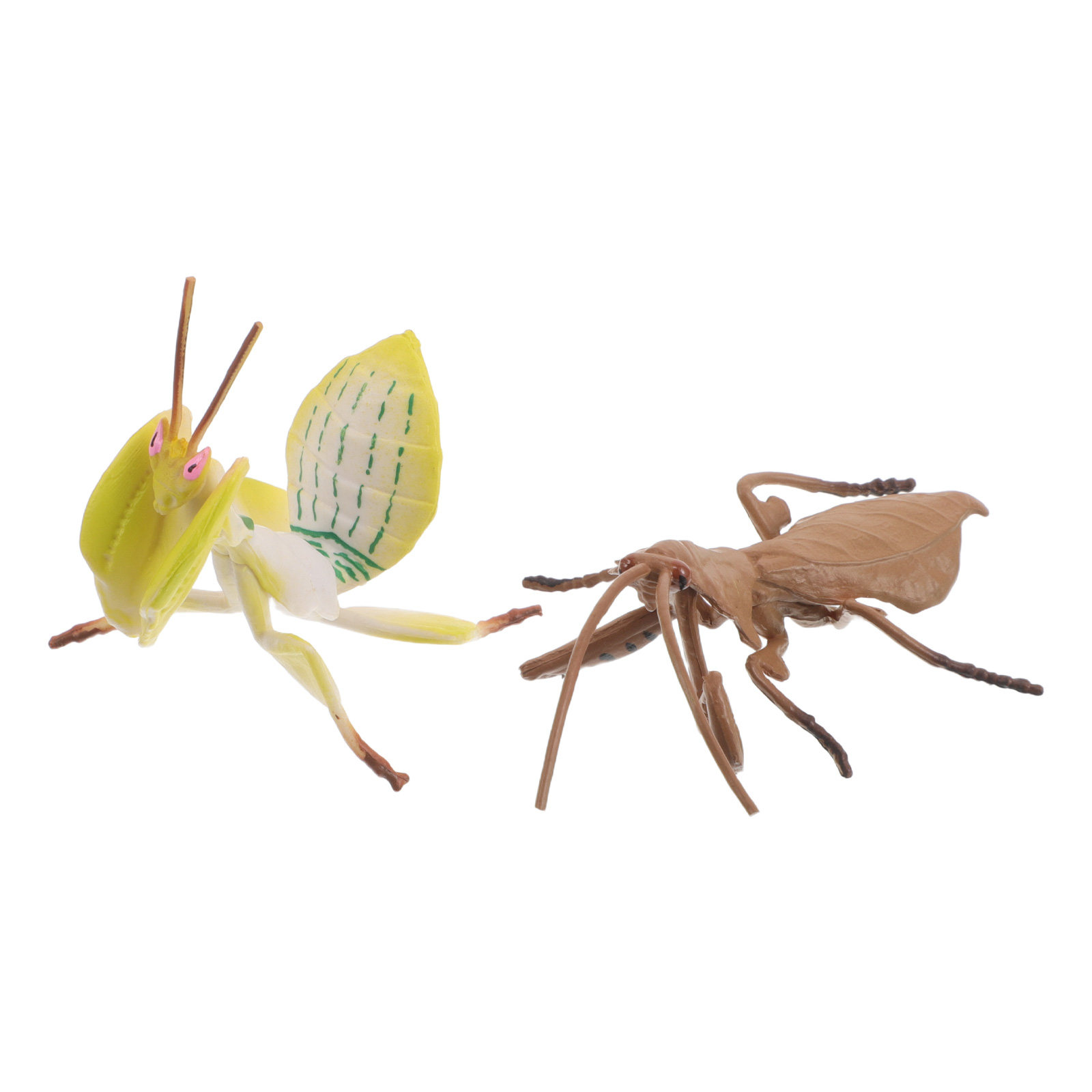 Modelos realistas de ladraças, - Science Toy avaliação e preço