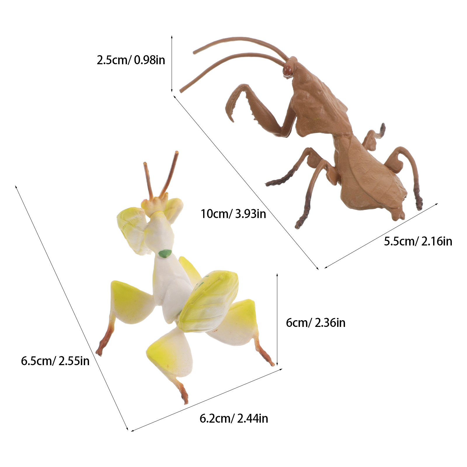 Modelos realistas de ladraças, - Science Toy avaliação e preço