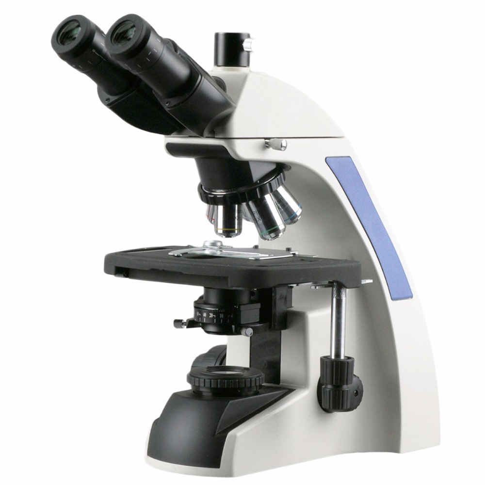 Microscópio Composto Trinocula - Amscope Microscope Compound 40X-1000X avaliação e preço