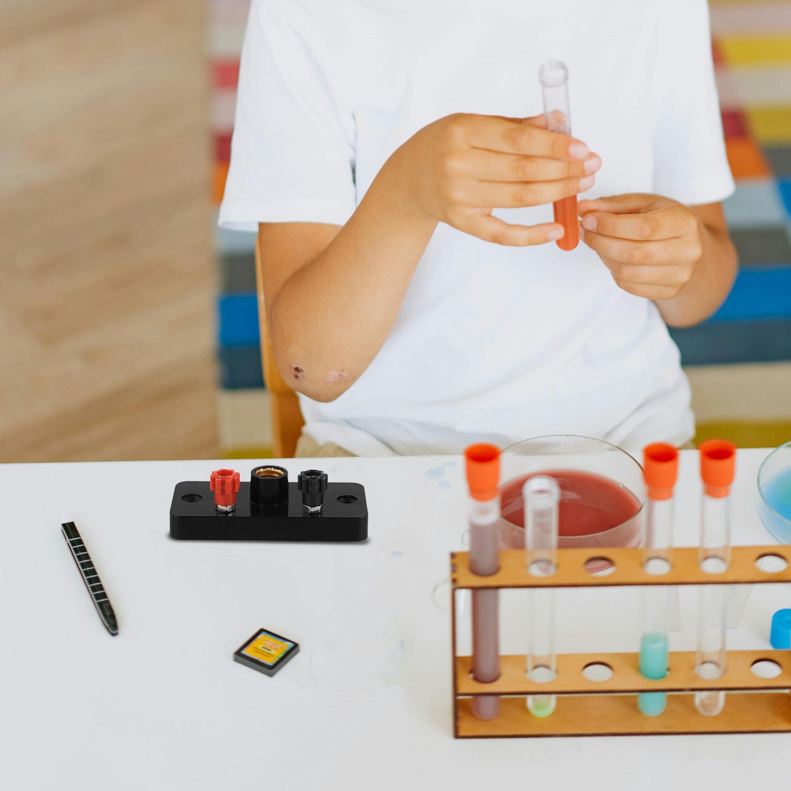 Base para lâmpada E10, tipo de - Science Experiment avaliação e preço
